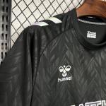 SV Werder Bremen - 24/25 - Away Kit - Replica 1:1