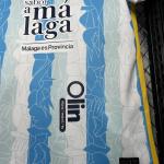 Malaga CF - 24/25 - Home Kit - Replica 1:1